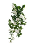 Die künstliche Hängepflanze Petunie 70 cm weiß hat grüne Blätter und weiße trompetenförmige Blüten in einem kaskadenartigen, rankenartigen Design vor einem schlichten weißen Hintergrund.