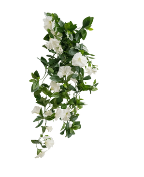Die künstliche Hängepflanze Petunie 70 cm weiß hat grüne Blätter und weiße trompetenförmige Blüten in einem kaskadenartigen, rankenartigen Design vor einem schlichten weißen Hintergrund.