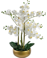 Die künstliche Orchidee Real Touch 50 cm weiß hat lebensechte weiße Orchideen mit gelben Herzen und grünen Knospen, alle mit grünen Blättern in einem stilvollen Goldtopf arrangiert.