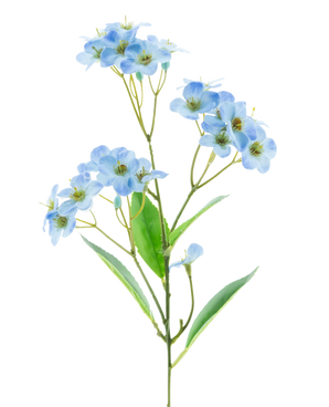 Vor einem schlichten weißen Hintergrund steht eine künstliche Blumenorchidee Real Touch Blue 50 cm mit zarten hellblauen Blütensträußen und einigen grünen Blättern.