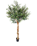 Der künstliche Olivenbaum 190 cm hat einen gedrehten hellbraunen Stamm und dichte grüne Blätter, die für eine mediterrane Atmosphäre sorgen. Vor einem schlichten weißen Hintergrund eignet es sich perfekt für eine stilvolle Inneneinrichtung.