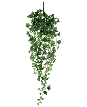 Der künstliche Efeu 70 cm grün/weiß ist eine hängende künstliche Efeupflanze mit üppig grünen und weißen kaskadenförmigen Blättern an langen Stielen vor einem schlichten weißen Hintergrund.