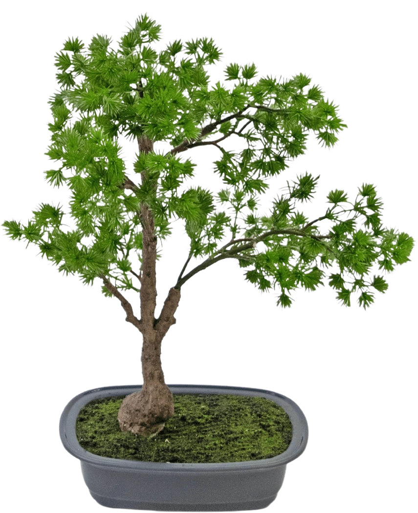 Die Kunstpflanze Bonsai Wacholder 40 cm hat einen schlanken Stamm und sattgrüne Blätter und befindet sich in einem flachen, rechteckigen grauen Topf mit Moos. Der Hintergrund ist schlicht weiß.