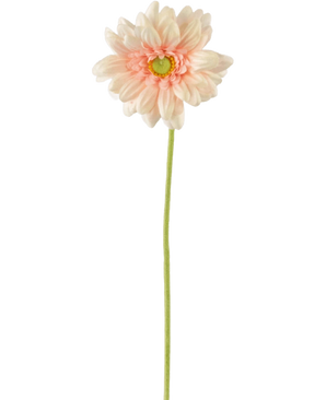 Die künstliche Blume Gerbera mini 47 cm zartrosa ist ein künstliches hellrosa Gänseblümchen mit weichen, geschichteten Blütenblättern und einem gelben Herzen auf einem langen grünen Stiel vor einem schlichten weißen Hintergrund.