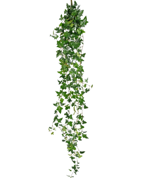 Die künstliche Hängepflanze Efeu Boston 180 cm grün hat lange, hängende grüne Stängel mit spitzen Blättern, die vor einem schlichten weißen Hintergrund herunterfallen.