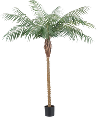 Künstliche Pflanze Phoenix Palm De Luxe 180 cm