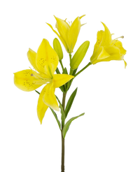 Künstliche Blume Asiatische Lilie 66 cm gelb