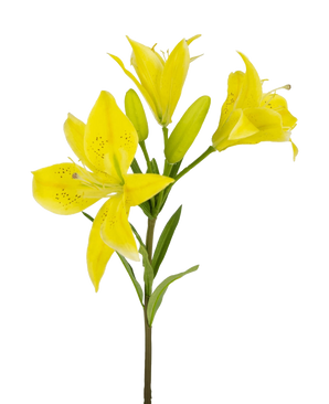 Die Kunstblume Asiatische Lilie 66 cm gelb hat einen Stiel mit mehreren blühenden gelben Lilien und ungeöffneten Knospen, spitze Blütenblätter mit dunklen Sprenkeln in der Mitte und grüne Blätter, alles vor einem weißen Hintergrund.