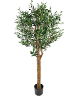 Der künstliche Olivenbaum UV 155 cm ist eine Easyplants Kunstpflanze in einem Topf mit einem hohen braunen Stamm, dichten grünen Blättern und kleinen schwarzen Oliven, elegant vor einem schlichten weißen Hintergrund.
