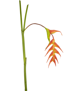 Eine einzelne künstliche Blume Heliconia 120 cm rot mit auffälligen roten Hochblättern und einem grünen Stiel, isoliert auf weißem Hintergrund.
