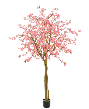 Der künstliche Kirschblüten-Rosabaum 240 cm hat rosa Blüten, braune Zweige und einen schwarzen Topf vor einem schlichten weißen Hintergrund.
