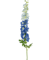 Die künstliche Blume Delphinium 105 cm blau hat einen einzelnen langen Stiel mit blau-weißen Blüten und grünen Blättern vor einem schlichten weißen Hintergrund.