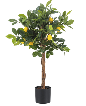 Der künstliche Zitronenbaum 75 cm ist ein kleiner künstlicher Zitronenbaum mit braunem Stamm, grünen Blättern und mehreren gelben Kunstzitronen vor einem schlichten weißen Hintergrund.