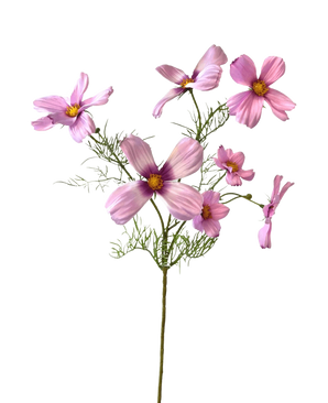 Die künstliche Kosmosblume 74 cm rosa hat einen einzelnen Stiel mit mehreren hellrosa Kosmosblüten und zarten grünen Blättern, die wunderschön vor einem weißen Hintergrund zur Geltung kommen.