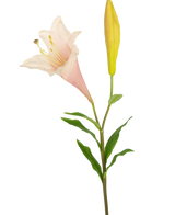 Die künstliche Blumenexotische Lilie 74 cm rosa hat einen einzelnen Stiel mit einer blühenden hellrosa Lilie und einer geschlossenen gelben Knospe, umgeben von schlanken grünen Blättern, vor einem weißen Hintergrund.