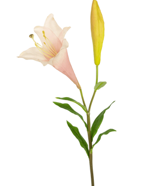 Die künstliche Blumenexotische Lilie 74 cm rosa hat einen einzelnen Stiel mit einer blühenden hellrosa Lilie und einer geschlossenen gelben Knospe, umgeben von schlanken grünen Blättern, vor einem weißen Hintergrund.