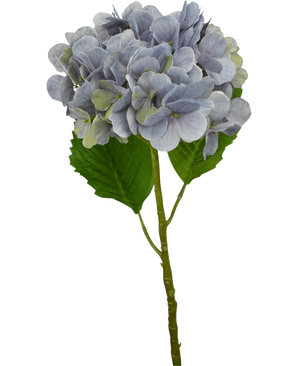 Eine einzelne künstliche Hydrangea Deluxe 57 cm lila Stiel mit hellvioletten Blütenblättern und zwei großen grünen Blättern, isoliert auf weißem Hintergrund.