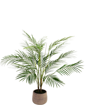 Die künstliche Palme Chamaedorea 83 cm hat lange, schlanke grüne Blätter und mehrere Stiele in einem hellbraunen, strukturierten Topf vor einem schlichten weißen Hintergrund.