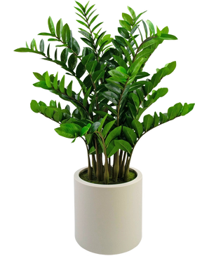 Die fertige Kunstpflanze Zamioculcas, 120 cm hoch mit glänzend grünen Blättern, steht aufrecht in einem schlichten beigen Topf vor einem schlichten weißen Hintergrund.