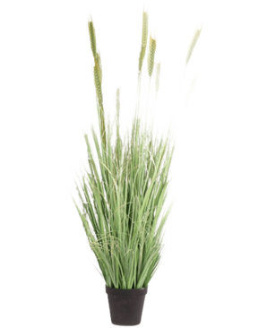 Kunst Grasplant Groen 160 cm brandvertragend heeft lange, slanke sprieten en zaadhoofden in een kleine zwarte pot. Ideaal als stijlvolle, brandvertragende nepplant voor elke ruimte.