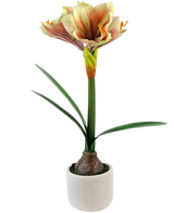 De Kunstbloem Amaryllis Real Touch Rood/geel 48 cm heeft levensechte groene bladeren en een hoge steel met trompetvormige rode en gele bloemen, prachtig gepresenteerd tegen een witte achtergrond.
