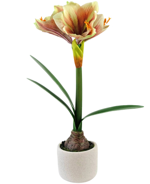 De Kunstbloem Amaryllis Real Touch Rood/geel 48 cm heeft levensechte groene bladeren en een hoge steel met trompetvormige rode en gele bloemen, prachtig gepresenteerd tegen een witte achtergrond.