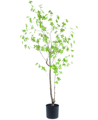 Künstliche Pflanze Enkianthus 150 cm