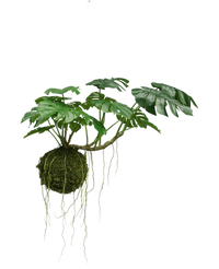 Künstliche Hängepflanze Monstera Deluxe 60 cm