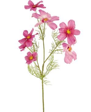 Vor einem schlichten weißen Hintergrund ist ein einzelner künstlicher Blumenkosmos in Fuchsia (74 cm) mit zarten, gefiederten Blättern und mehreren fuchsiafarbenen Blüten mit gelber Mitte zu sehen.