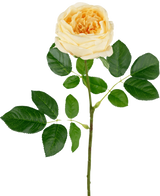 Die künstliche Gartenrose „Anniken“ Real Touch Gelb 72 cm hat eine einzelne gelbe Rose mit mehreren grünen Blättern an einem langen Stiel vor einem schlichten weißen Hintergrund.