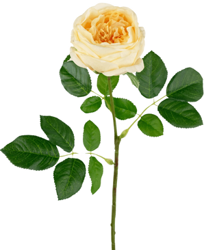 Die künstliche Gartenrose „Anniken“ Real Touch Gelb 72 cm hat eine einzelne gelbe Rose mit mehreren grünen Blättern an einem langen Stiel vor einem schlichten weißen Hintergrund.