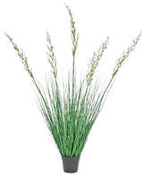 Die feuerhemmende Kunstrasenpflanze Weizen 120 cm im Topf hat hohe, aufrechte Blätter und blühende Stängel und eignet sich daher ideal für einen grünen Innenraum. Diese wartungsfreie Pflanze sorgt für stilvolles Grün vor einem weißen Hintergrund.