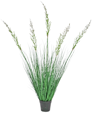 Die feuerhemmende Kunstrasenpflanze Weizen 120 cm im Topf hat hohe, aufrechte Blätter und blühende Stängel und eignet sich daher ideal für einen grünen Innenraum. Diese wartungsfreie Pflanze sorgt für stilvolles Grün vor einem weißen Hintergrund.