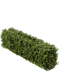 Künstliche Buchsbaumhecke 100x20x25 cm UV