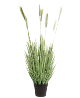Die feuerhemmende Kunstrasenpflanze Grün 130 cm hat lange, schlanke grüne Blätter und lange, weizenähnliche Stängel in einem kleinen schwarzen Topf vor einem weißen Hintergrund.