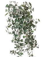 Der künstliche Efeu Deluxe Rich Green-White 90 cm hat üppige grüne und weiß gelappte Blätter an nachlaufenden Stielen, die sich wunderbar von einem schlichten weißen Hintergrund abheben.