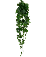 Der künstliche Efeu 105 cm grün hat dichte grüne Blätter, die herunterfallen und einen üppigen, hängenden Efeu-Effekt vor einem schlichten weißen Hintergrund erzeugen.