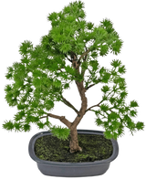 Die künstliche Pflanze Bonsai Wacholder 30 cm hat dichte hellgrüne Blätter und einen gedrehten Stamm, in einem flachen grauen Topf mit dunkler Erde, vor einem schlichten weißen Hintergrund.
