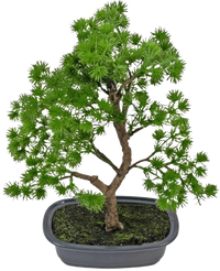 Künstliche Pflanze Bonsai Wacholder 30 cm