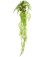 Die künstliche Hängepflanze Farn Deluxe 150 cm hat lange, grüne Blätter, die nach unten fallen, vor einem schlichten weißen Hintergrund.
