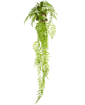 Die künstliche Hängepflanze Farn Deluxe 150 cm hat lange, grüne Blätter, die nach unten fallen, vor einem schlichten weißen Hintergrund.
