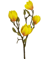 Die Kunstblume Magnolie 50 cm gelb/orange mit mehreren leuchtend gelben und orangefarbenen Blüten mit grünen Knospen sticht als auffällige Kunstblumendekoration auf einem schlichten weißen Hintergrund hervor.