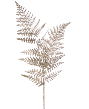 Ein einzelner künstlicher Spargelzweig 125 cm silber, mit hellbraunen, getrockneten, farnartigen Stielen mit feinen, federleichten Blättern, vor einem schlichten weißen Hintergrund.