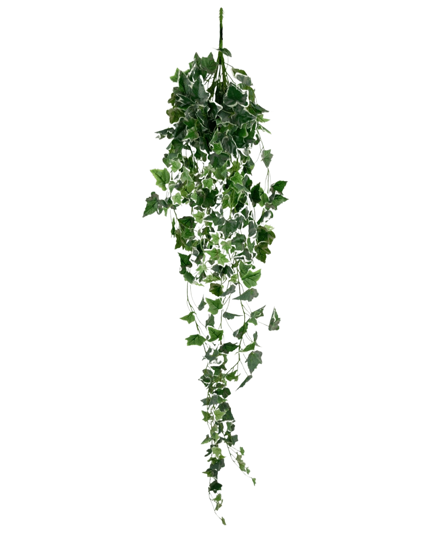 Der künstliche Efeu 130 cm grün/weiß ist eine hängende künstliche Efeupflanze mit langen, nachhängenden grünen Blättern und weißen Rändern, dargestellt vor einem schlichten weißen Hintergrund.