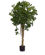 Die Kunstpflanze Schefflera kleine Blätter 150 cm hat einen hohen gedrehten Stamm und dichte Büschel dunkelgrüner Blätter vor einem schlichten weißen Hintergrund. Ideal, um Ihrem Interieur eine frische Note zu verleihen oder in stilvollen dekorativen Töpfen zu präsentieren.