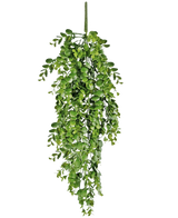 Die künstliche Hängepflanze Pancake 61 cm hat leuchtend grüne künstliche Blätter, die vor einem schlichten weißen Hintergrund herunterfallen und einer echten Hängerebe ähneln.