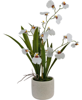 Das künstliche Oncidium Real Touch 48 cm weiß hat lebensechte weiße Orchideen mit grünen Blättern, wunderschön arrangiert in einem schlichten, runden, hellen Keramiktopf.