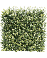 Künstliche Hecke Buchsbaum beige 50x50 cm UV: Dichtes quadratisches Panel aus künstlichem Grün mit kleinen grünen und beigen Blättern, das einer dicken Hecke oder Gartenmauer vor einem schlichten weißen Hintergrund ähnelt.