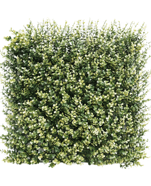 Künstliche Hecke Buchsbaum beige 50x50 cm UV: Dichtes quadratisches Panel aus künstlichem Grün mit kleinen grünen und beigen Blättern, das einer dicken Hecke oder Gartenmauer vor einem schlichten weißen Hintergrund ähnelt.