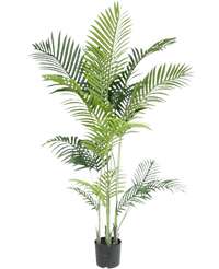 Künstliche Pflanze Phoenix 170 cm